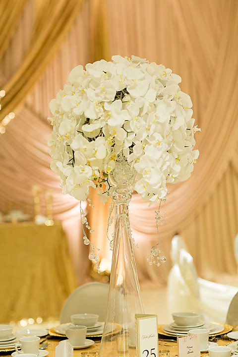 ilijanastanfinal-590 copy