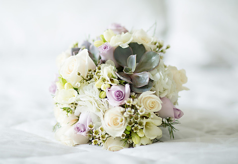 ilijanastanfinal-60 copy