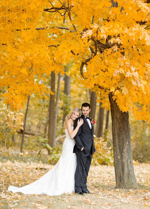 edwed36copy