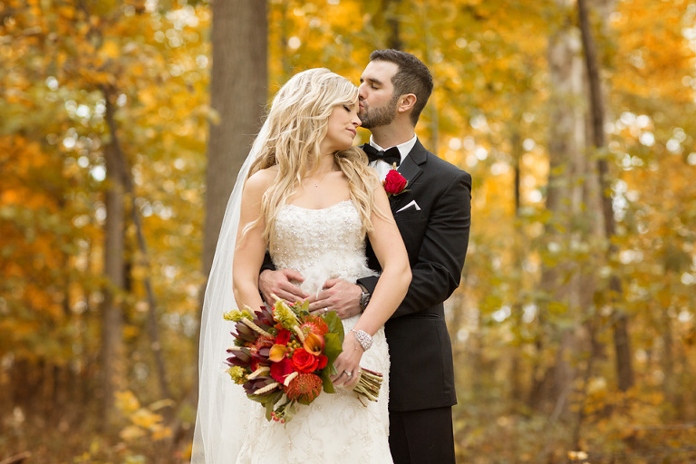 edwed41copy