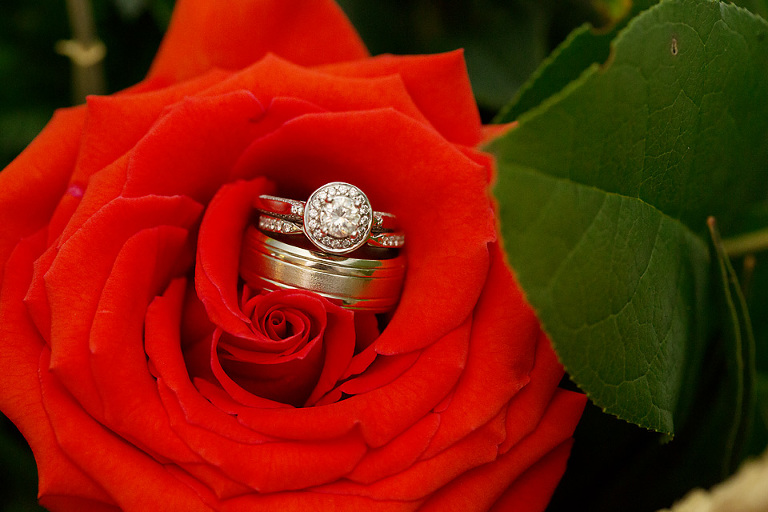 edwed63copy