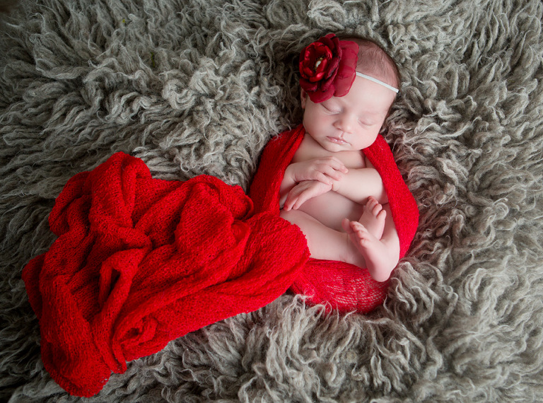 sophie3copy