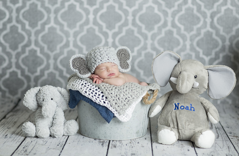 noah7copy
