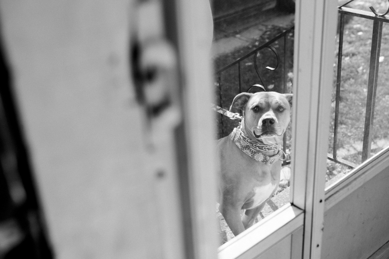 photographed by Nicole Harris