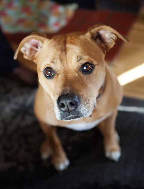 photographed by Nicole Harris