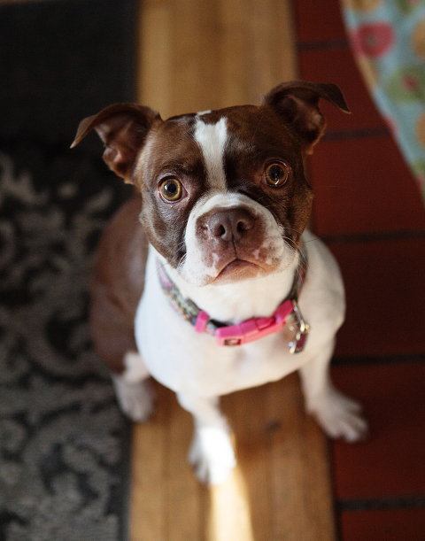 photographed by Nicole Harris