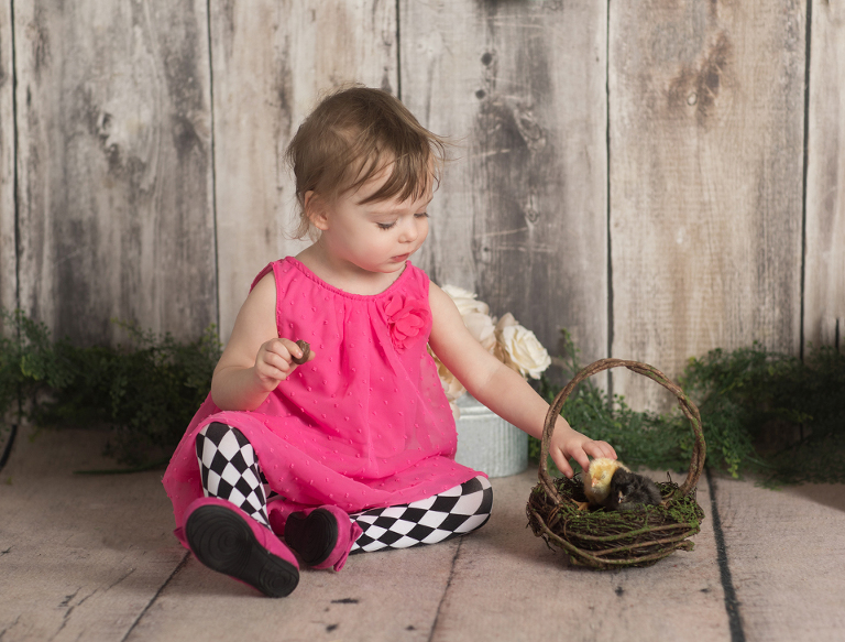 Easter mini sessions with baby chick in studio at Real Image Photography