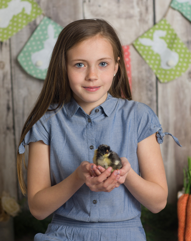 Easter mini sessions with baby chick in studio at Real Image Photography