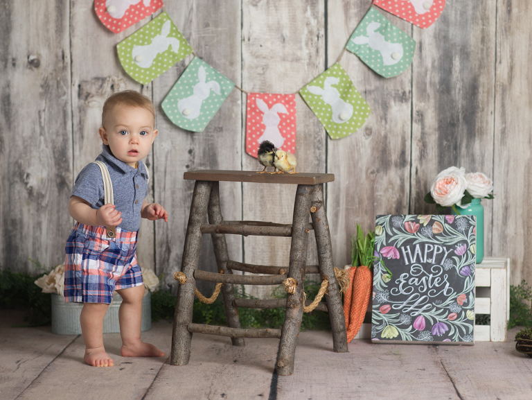 Easter mini sessions with baby chick in studio at Real Image Photography