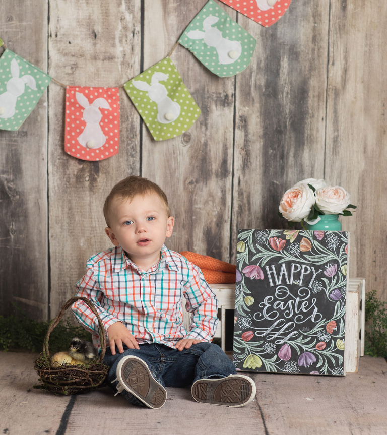 Easter mini sessions with baby chick in studio at Real Image Photography