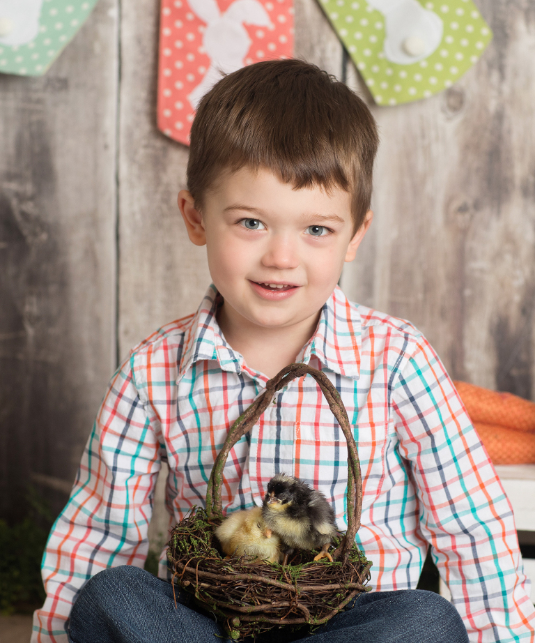 Easter mini sessions with baby chick in studio at Real Image Photography