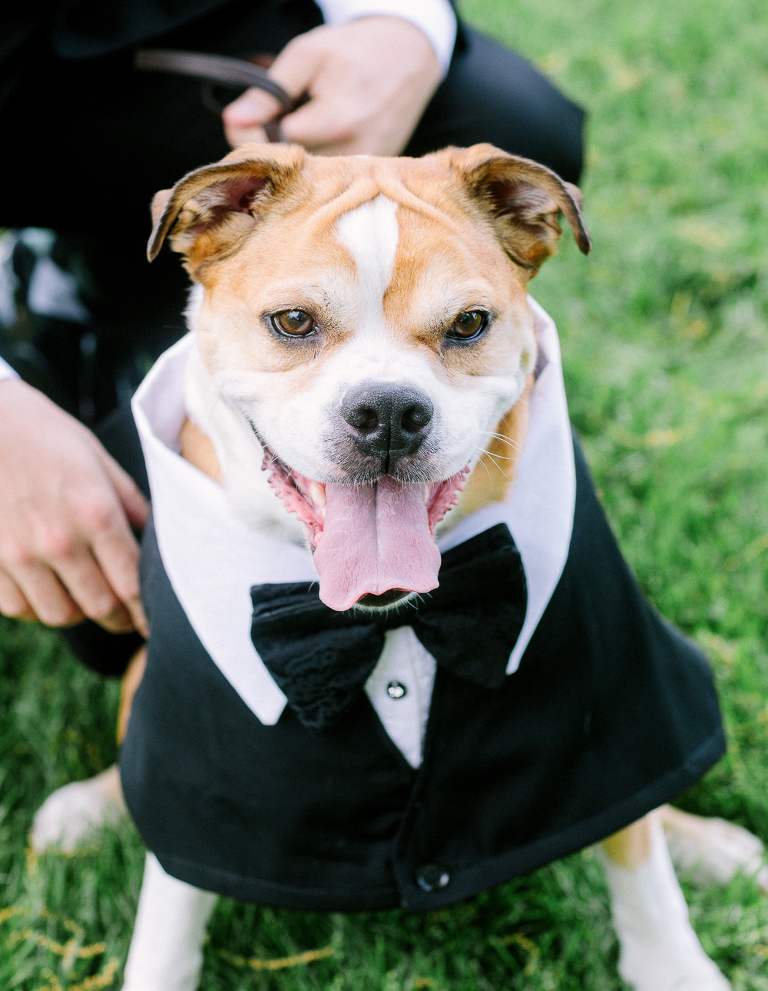 Lauren and Kyles wedding at Essex Golf and Country Club photographed by Jillian Wilhelm Photography