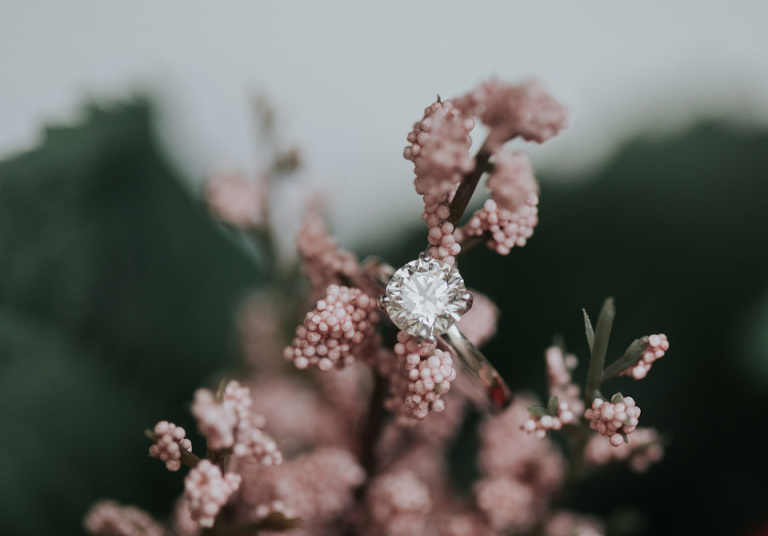 Kaitlin and Marcos wedding in windsor ontario at Sprucewood shores