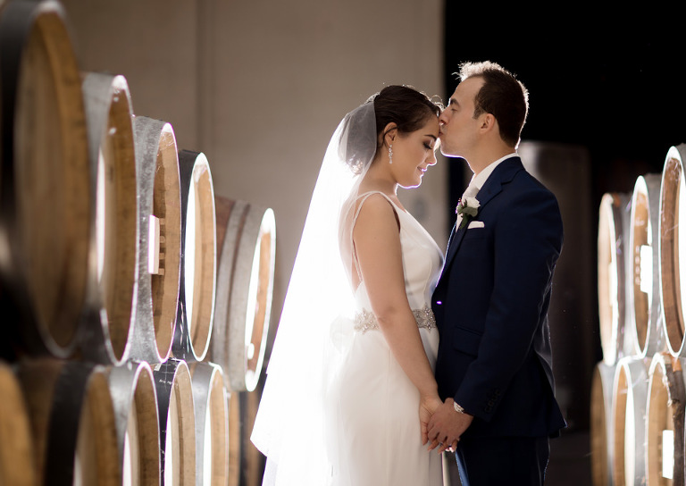 Kaitlin and Marcos wedding in windsor ontario at Sprucewood shores