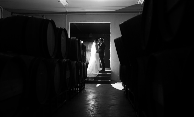 Kaitlin and Marcos wedding in windsor ontario at Sprucewood shores