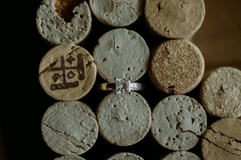 Jake and Calie's wedding in Windsor Ontario photographed by Jillian Wilhelm Photography at Fogolar Club and JP Wisers