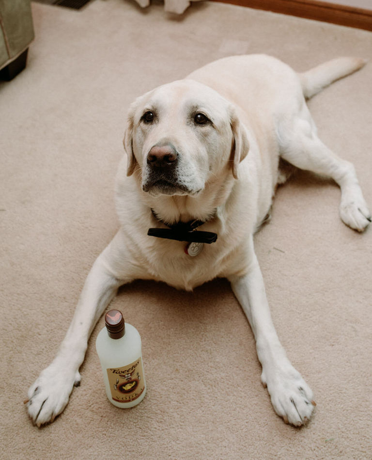 Jen and Aarons wedding in Windsor Ontario photographed by Jillian Wilhelm of Jillian Wilhelm Photography. Jillian Wihelm Photography is a full service studio serving southwest ontario and destinations around the world.