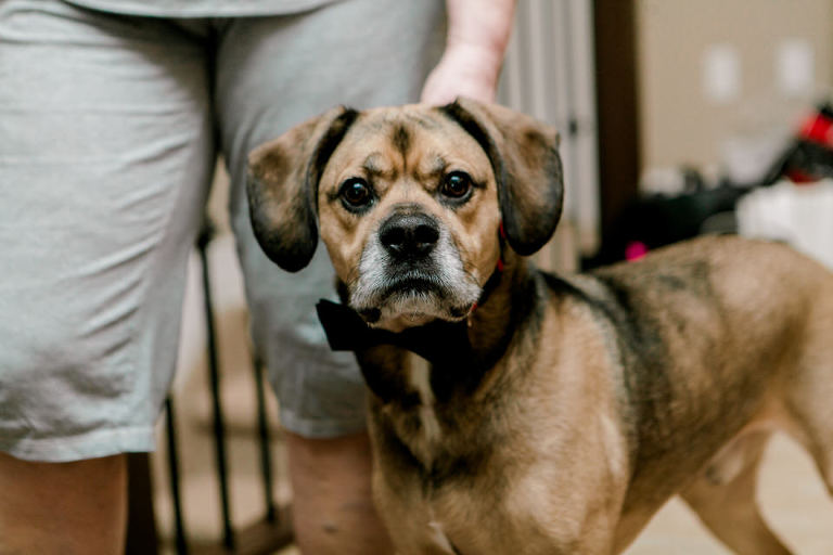 Melissa and Keiths wedding in Windsor Ontario at the Caboto Club photographed by Jillian Wilhelm of Jillian Wilhelm Photography, windsor wedding photographer.