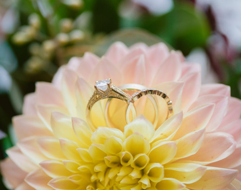 Windsor Caboto Club Wedding Photographed by Jillian wilhelm Photography. Lisa and Robs windsor ontario wedding 