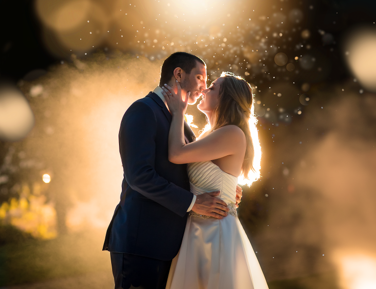 Windsor Ontario Wedding photographed by Jillian Wilhelm Photography. Victoria and Dragans Pointe West Wedding 